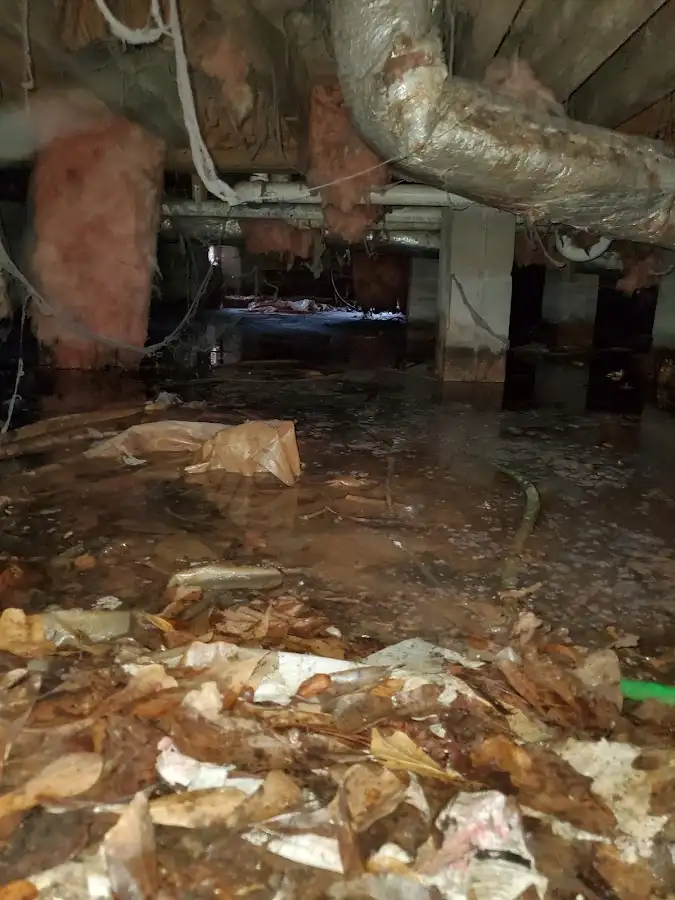 Crawl space flood assessment for Leak Detection & Repair in Deer Park