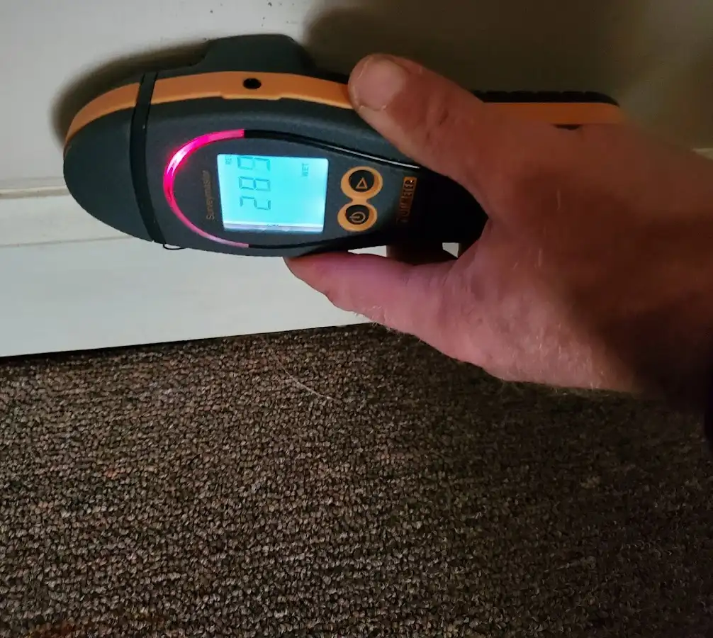 Moisture detection at baseboard during Sewage Cleanup & Sanitation in Deer Park